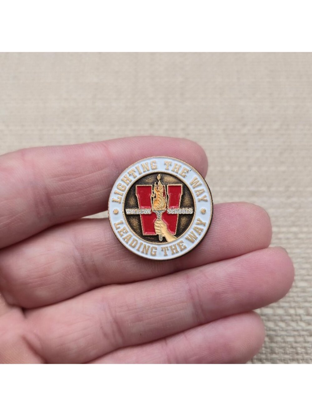Vintage Willcox Schools Lighting The Way Leading The Way Enamel Lapel Pin A8642